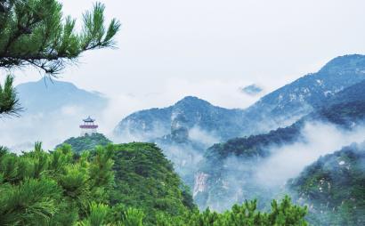 拯救活力男孩